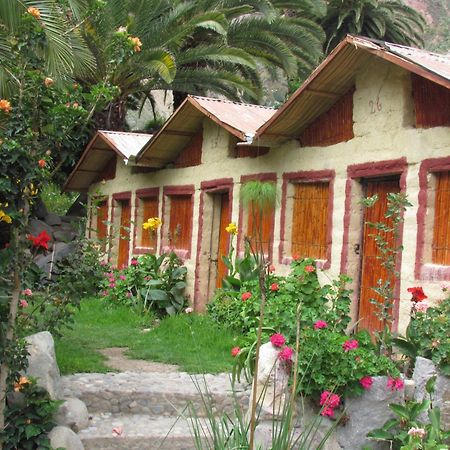Paraiso Las Palmeras Lodge Cabanaconde Kültér fotó