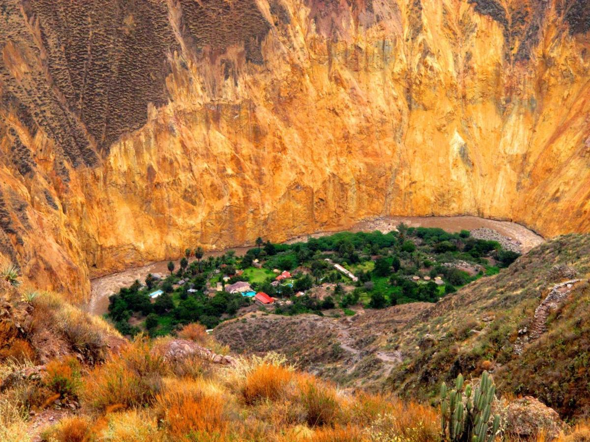 Paraiso Las Palmeras Lodge Cabanaconde Kültér fotó