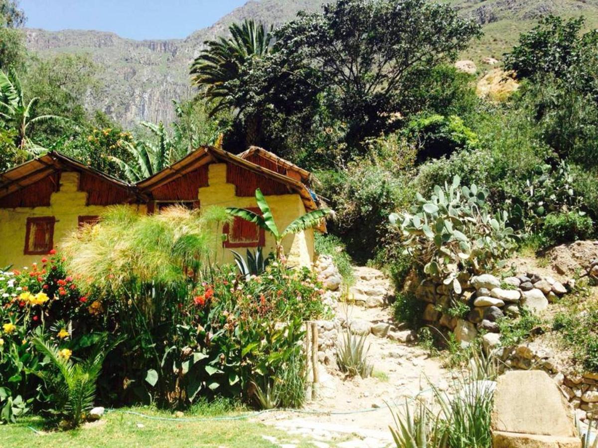 Paraiso Las Palmeras Lodge Cabanaconde Kültér fotó