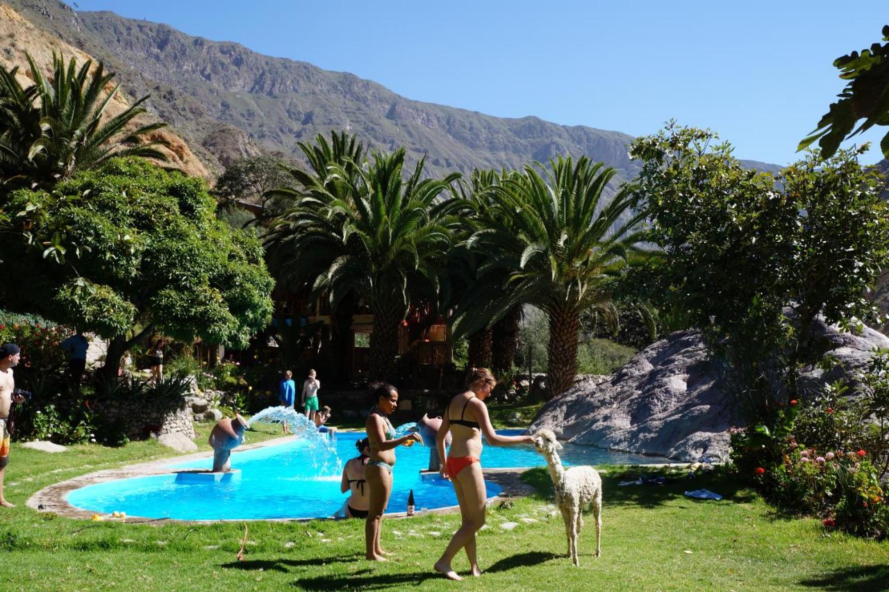 Paraiso Las Palmeras Lodge Cabanaconde Kültér fotó