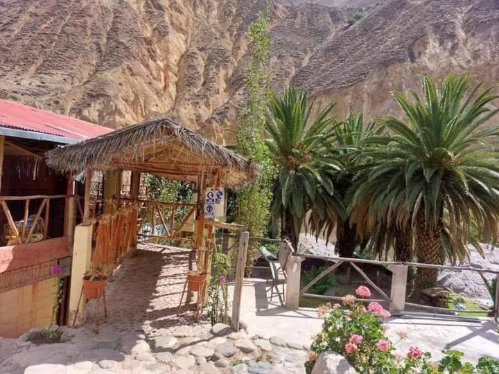 Paraiso Las Palmeras Lodge Cabanaconde Kültér fotó